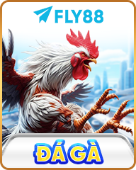 FLY88