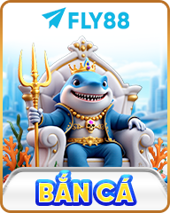 FLY88